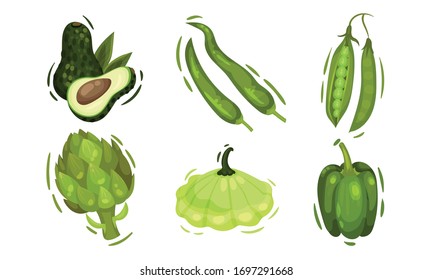 Green Vegetables with Avocado and Bell Pepper Vector Set