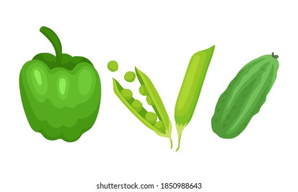 Green Vegetables with Bell Pepper and Green Pea Pod Vector Set