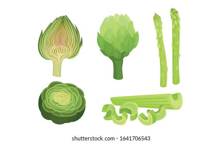 Green Vegetables with Celery and Asparagus Sticks Vector Set