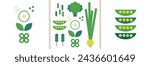 Green vegetables collection. Decorative abstract flat vector illustration with green veggies. Greens set. Leafy greens. Perfect background for web posters, cover design. Go vegan. Healthy food concept