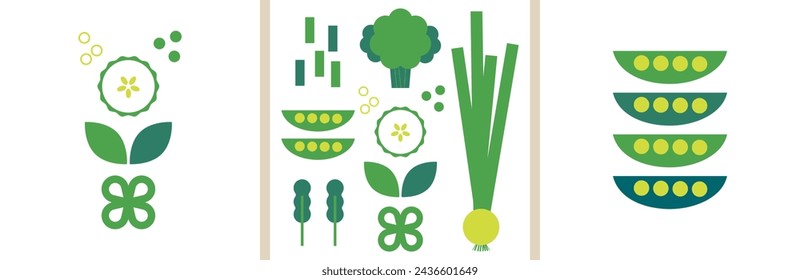 Colección de verduras verdes. Ilustración de vector plano abstracto decorativo con verduras verdes. Juego de Greens. Verdes frondosos. Fondo perfecto para carteles web, diseño de portada. Ve vegano. Concepto de comida saludable