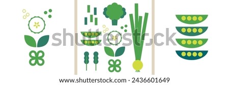 Green vegetables collection. Decorative abstract flat vector illustration with green veggies. Greens set. Leafy greens. Perfect background for web posters, cover design. Go vegan. Healthy food concept