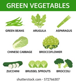 green vegetables collection, info graphic food vector illustration