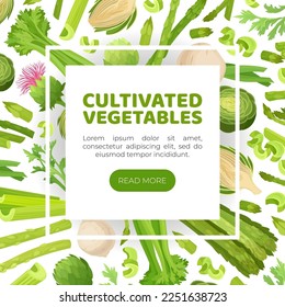 Green Vegetables Design with Celery Asparagus and Artichoke Vector Template