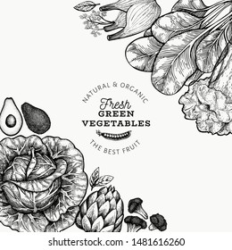 Green vegetables design template. Hand drawn vector food illustration. Engraved style vegetable frame. Retro botanical banner.