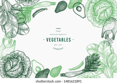 Green vegetables design template. Hand drawn vector food illustration. Engraved style vegetable frame. Retro botanical banner.
