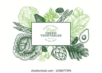 Green vegetables design template. Hand drawn vector food illustration. Engraved style vegetable banner. Retro botanical banner.