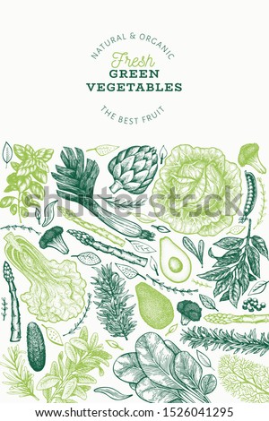 Green vegetables design template. Hand drawn vector food illustration. Engraved style vegetable banner. Retro botanical banner.