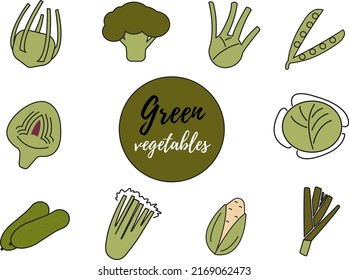 Green vegetables flat vector illustration. Line outline color icon for web app. Minimalist style ingridient.