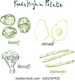 Green Vegetables Food High In Folate, Folic Acid . Farmers Eco And Organic Food Market Template. Folate Vegetables Food Poster. Vintage Hand Drawn Sketch Vector.