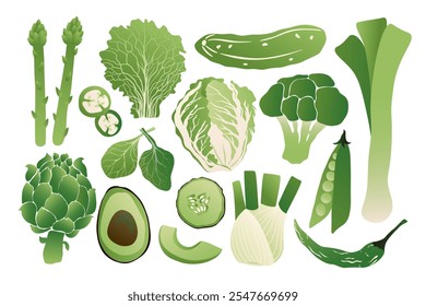 Green vegetables. Fresh organic food with doodle hand drawn peas, cucumber, salad leaf, pepper, leek, broccoli for menu design. Vector veggies set.