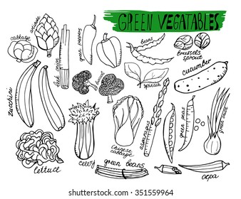 Green vegetables. Hand drawn outline vector objects
