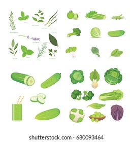 Green vegetables and herbes. Vegeterian Fresh food vector cartoon illustrations.