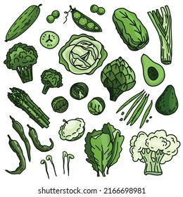 Green vegetables and herbs set, organic vegetarian food, vector illustration isolated on white background
