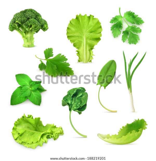 白い背景に緑の野菜とハーブセット 有機ベジタリアン食品 ベクターイラスト のベクター画像素材 ロイヤリティフリー