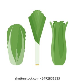 Green vegetables - leek, celery, Chinese cabbage. Fresh green ingredients for cooking, food preparing. Simple and quit illustration. Flat vector, isolated on white