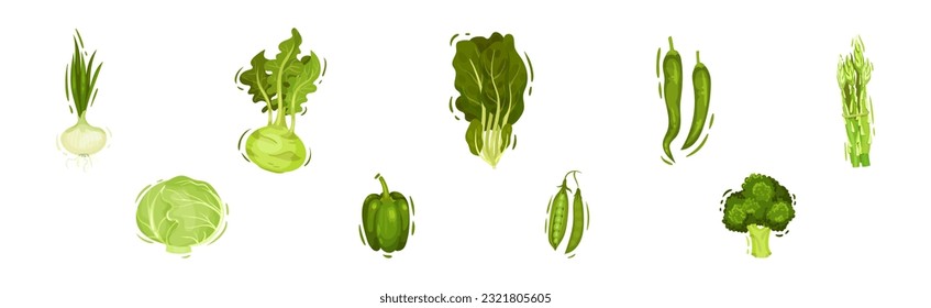 Green Vegetables and Organic Eco Food Vector Set