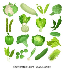 Green Vegetables and Salad Leafs for Organic Culinary Big Vector Set