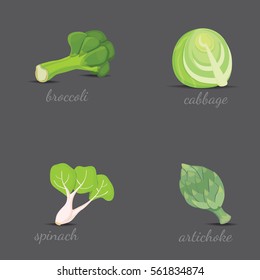 Green vegetables vector design. Healthy natural fresh plant vector cartoon illustration