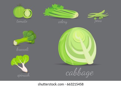 Green vegetables vector design. Healthy natural fresh plant vector cartoon illustration