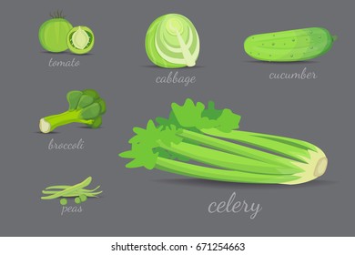 Green vegetables vector design. Healthy natural fresh plant cartoon illustration