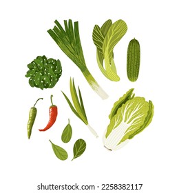 Green vegetables vector set. Chinese cabbage and komatsuna traditional ingredients of asian cuisine.