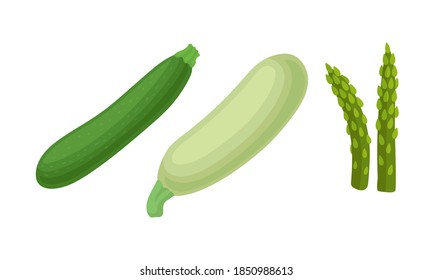 Green Vegetables with Zucchini and Asparagus Vector Set