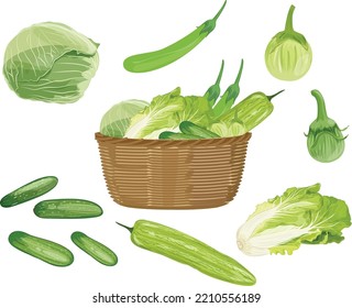 green vegetables.vegetables in basket vegetable illustration