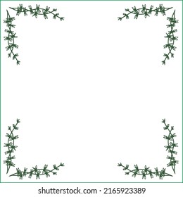 Green vegetal ornamental frame, decorative border for greeting cards, banners, business cards, invitations, menus. Isolated vector illustration.