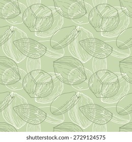 Patrón vegetariano verde con nueces dibujadas a mano, avellanas, pistachos y almendras. Nueces y semillas de alimentos saludables. Gráficos de contorno. Embalaje, Fondo de pantalla, envoltura, fondo.