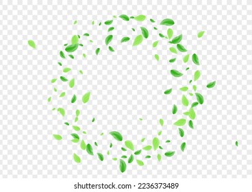 Green Vegetation Background Transparent Vector. Leaf Eco Illustration. Motion Frame. Greenish Rustic Texture. Foliage Floral.