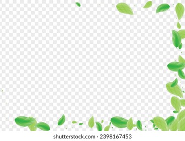 Green Vegetation Background Transparent Vector. Leaf Subtle Design. Wild Card. Light Green Rustic Frame. Sheet Herbal.