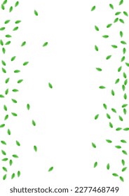 Green Vegetation Background White Vector. Leaf Botanical Frame. Vibrant Design. Light Green Grow Illustration. Plant Food.