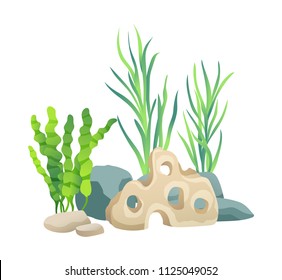 Green vegetation of deep sea. Decorations to put in aquariums. Stones with holes and plants different seaweed set isolated on vector illustration