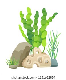 Green vegetation of deep sea. Decorations to put in aquariums. Stones with holes and plants different seaweed set isolated on vector illustration