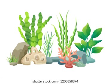 Green vegetation of deep sea. Decorations to put in aquariums. Stones with holes and plants different seaweed set isolated on vector illustration