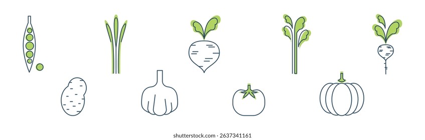 Green Veggie and Vegetable Line Icon Vector Set