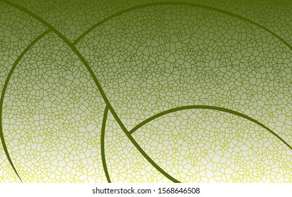 Green vein leaf vector texture,ornate organic background.Eco banner design.Natural cosmetic wallpaper.Vegan cover template.Health care pattern concept.Beautiful poster template with mosaic structure.