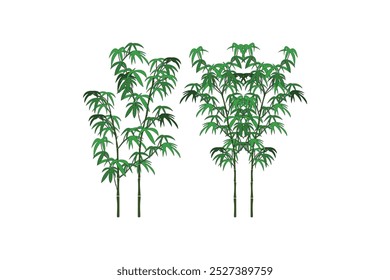 Green versatile bamboo tree, discover its benefits, uses, and ecological importance in sustainable living and garden design