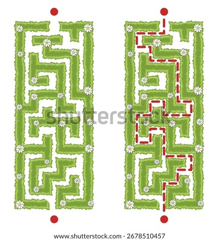 Green vertical hedge maze vector Illustration. Top view of the open air rectangular labyrinth made of garden bushes and grass. Education logic game for kids isolated on white backdrop.