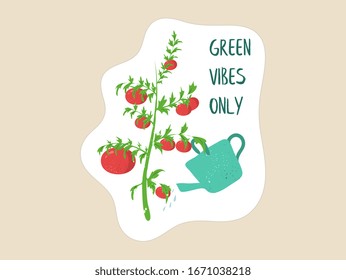 Green Vibes Only poster with watering the tomato plant in the garden. Eco friendly organic food production concept on light background