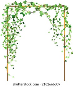 Green vine, creeper or ivy hanging from above or climbing the wall.Decoration for garden or home.Template on white background.
