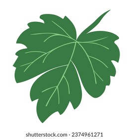 Green vine leaf, flat drawing cut out on trasparent 