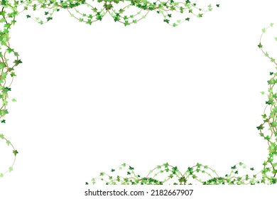 Green vine, liana or ivy hanging from above or climbing the wall.Decoration for garden or home.Background of realistic vector ivy plant.