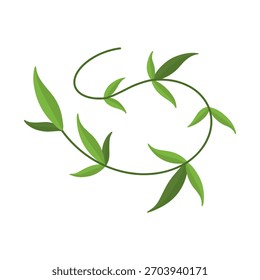 Green vine with small leaves creating a decorative natural design