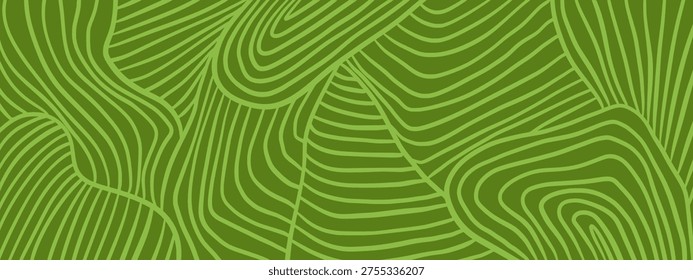 Green vineyard pattern and farm field texture for wine background or agriculture landscape in eco design