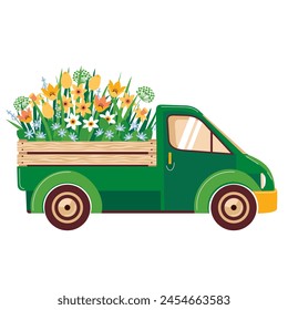 A green vintage truck is carrying an armful of yellow spring flowers. Daffodils and tulips in the trunk of a truck. Delivery of spring flowers. Illustrated vector clipart.