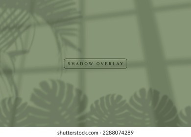 green wall with shadow overlay