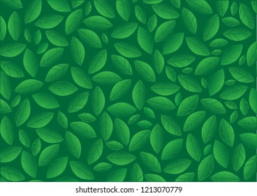 Green wallpaper background of leaves