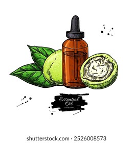 Verde noz garrafa de óleo essencial desenhado à mão vetor ilustração. Desenho isolado para tratamento de Aromatherapy, medicina alternativa, beleza e spa, ingrediente cosmético. 